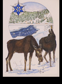 Winter_Moose.jpg